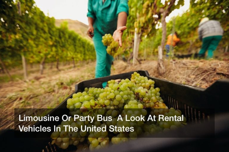 Limousine Or Party Bus  A Look At Rental Vehicles In The United States