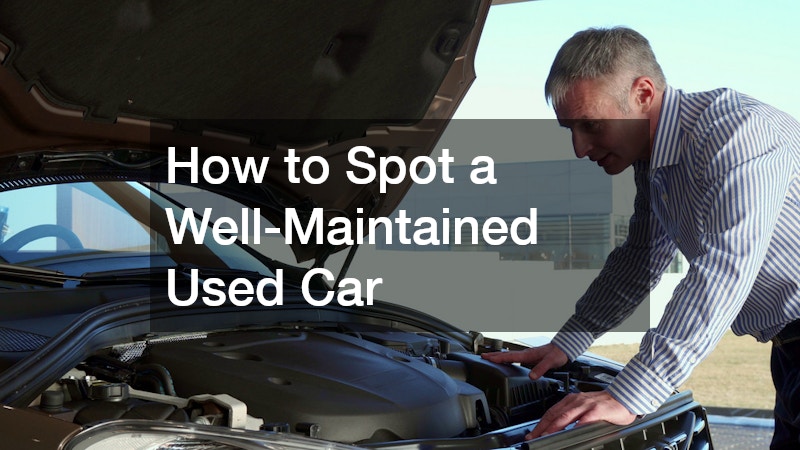 a buyer inspecting the car